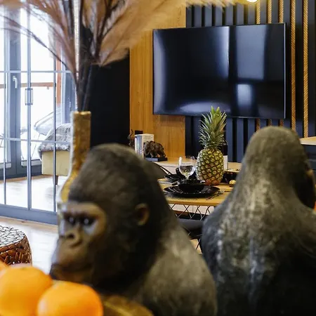 Chicago ノヴィ・タルク